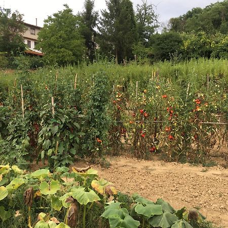 Villa Baronzola Montevarchi Esterno foto