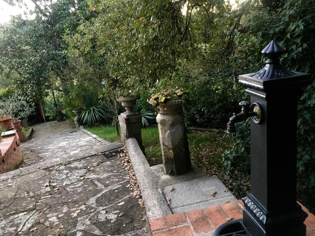 Villa Baronzola Montevarchi Esterno foto