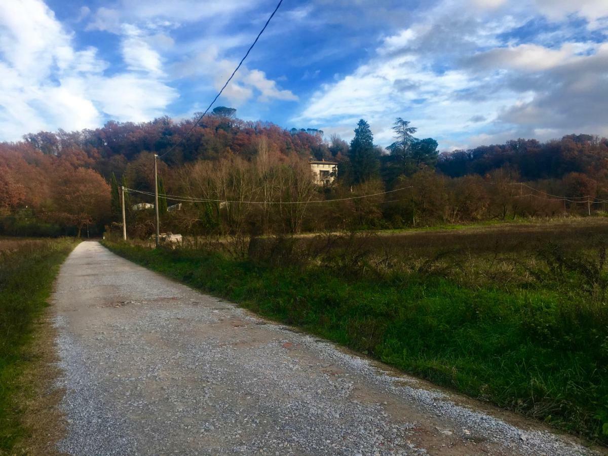 Villa Baronzola Montevarchi Esterno foto