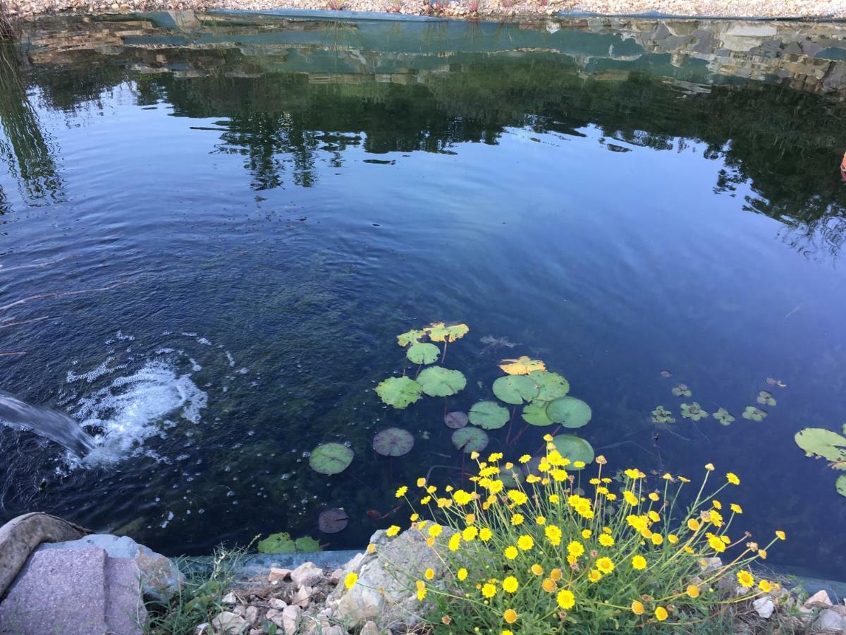 Villa Baronzola Montevarchi Esterno foto