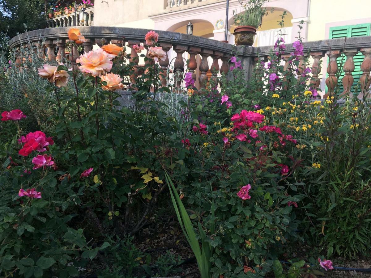 Villa Baronzola Montevarchi Esterno foto
