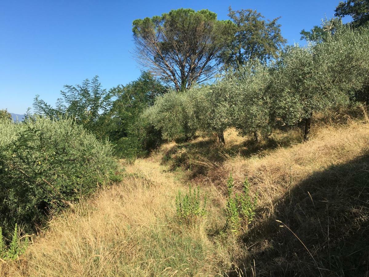 Villa Baronzola Montevarchi Esterno foto