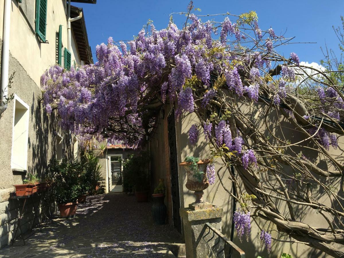 Villa Baronzola Montevarchi Esterno foto